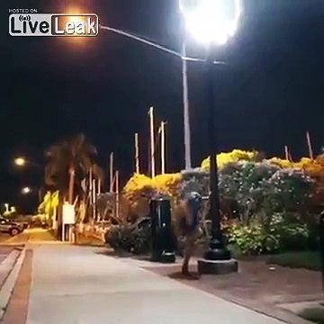 En robe de soirée elle fait des tractions au lampadaire en pleine rue !