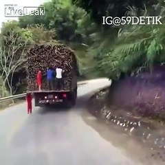 Ces enfants volent de la canne à sucre accrochés à un camion en route !!