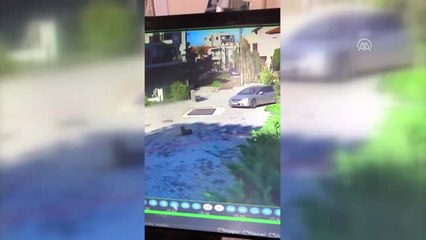 Mazlum" Kendisini Sahiplenecek Hayvanseveri Bekliyor - İzmir