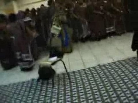 Comores Marseille ngzidja lande