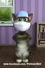 noti cat funny clip