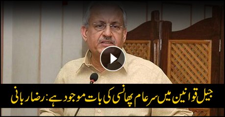 Jail laws have public execution clause: Raza Rabbani