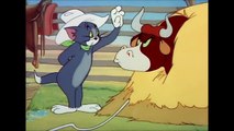 Tom and Jerry_ Texas Tom (1950)  توم وجيري
