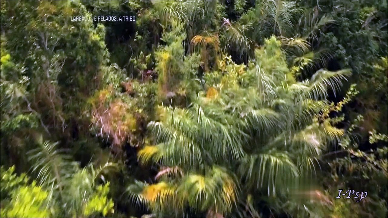 Largados e Pelados a Tribo - Episódio 8 - 1ª Temporada