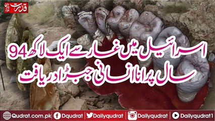 One million 94 years old human jaw discovered from the cave in Israel