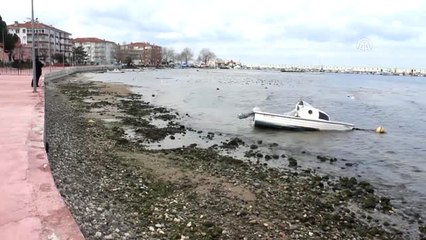 Deniz Suyu 10 Metre Çekildi