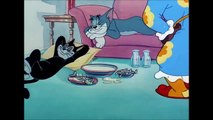 Tom and Jerry_  A Mouse in the House (1947) توم وجيري