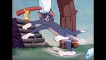 Tom and Jerry_  Little Quacker (1950)  توم وجيري