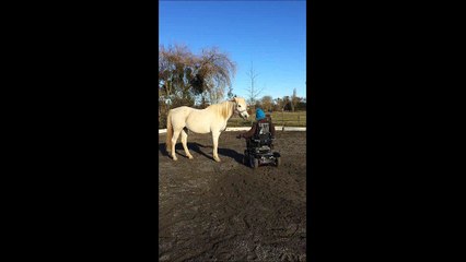 Douchka liberté décembre 2017