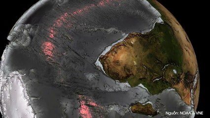 Khung cảnh dưới đáy đại dương nếu cạn nước