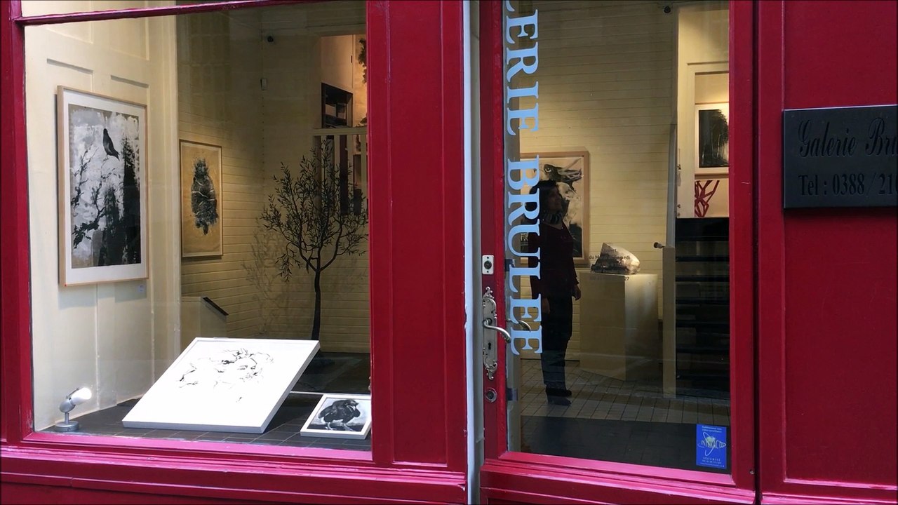 "Artistes, vos papiers!", une exposition à la galerie Brûlée à Strasbourg