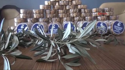 Aydın Zeytin Dalı'na İlk İncir Ekonomi Kulübü'nden