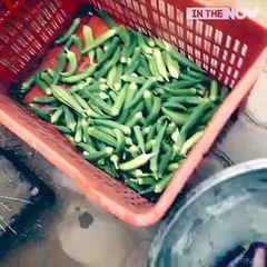 How People make vegetables look fresh, is it right?