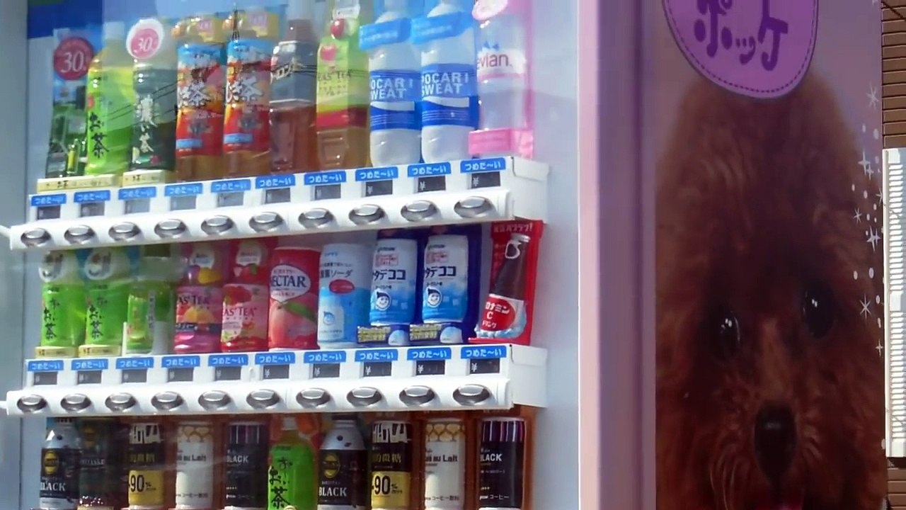 Puppy Vending Machine in Japan! video Dailymotion