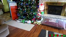 Dogs Opening Christmas Presents - Santa Paws Came! Puppy Christmas
