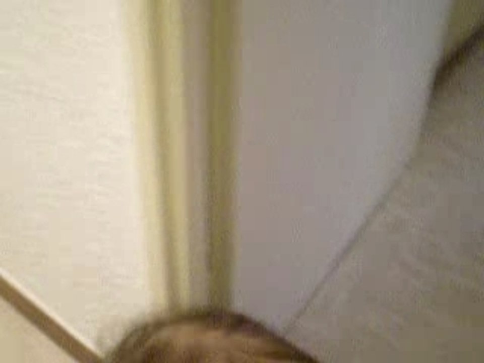 Photo 007