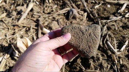 arrowhead hunting 2/5/2017
