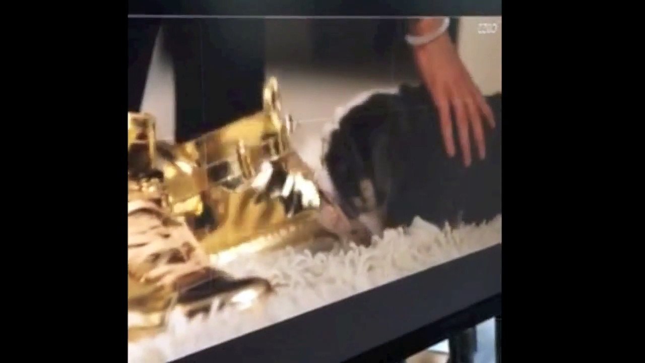 Justin Bebier behind the scenes. Puppy pees on Justin Bieber's shoes- animal handler Abe Ward