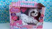 Puppy Surprise Gigi the Dalmatian Dog Toy- How Many Puppies Will She Have?