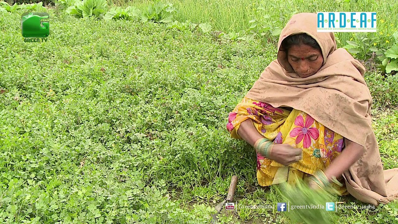 Coriander Farming(धनिया की खेती) Chapter 1