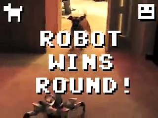 Puppy Vs. Robot! Epic Battle For Territorial Domination!