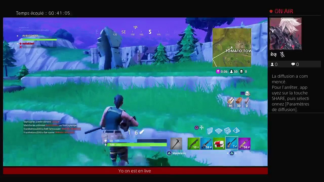 Fortnite (2)