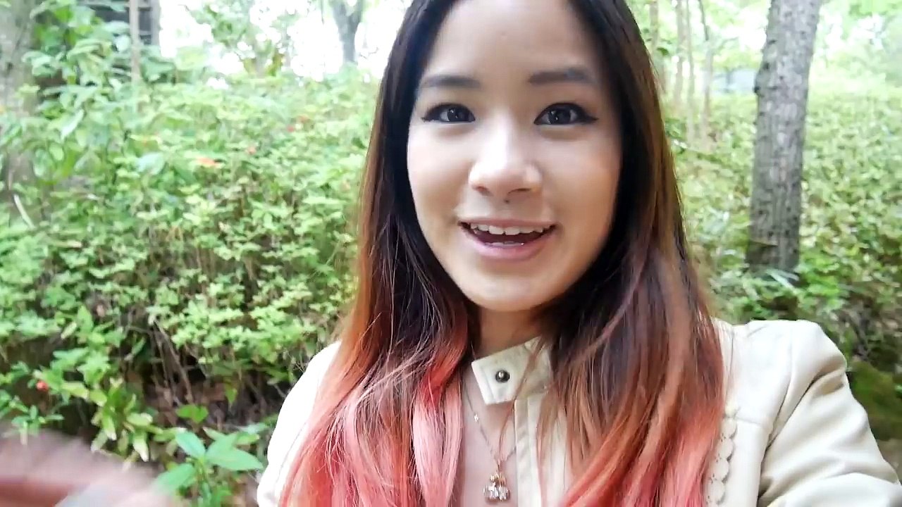 Japanese Hotsprings Onsen | Fancy Japanese dinner | KimDao in JAPAN