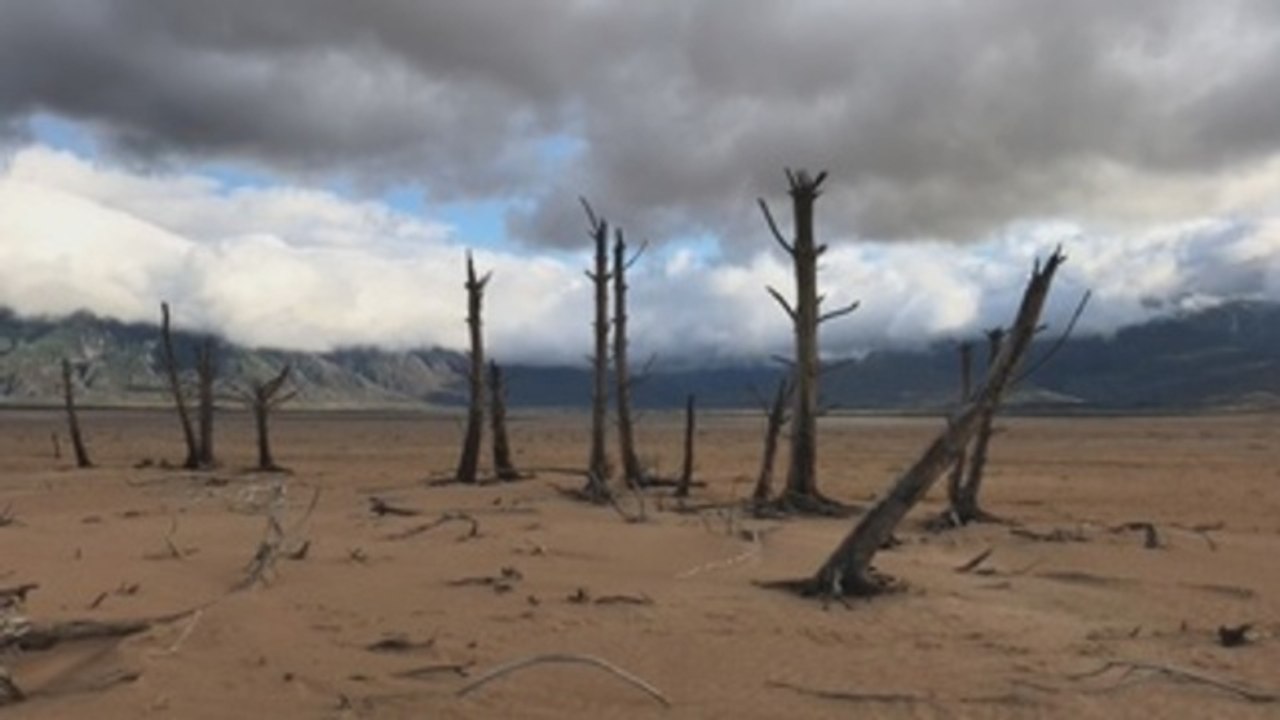 Ciudad del Cabo, corazón turístico de Sudáfrica, se queda sin agua