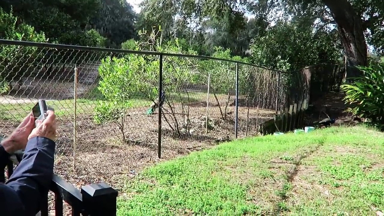 THE LAST FEW DAYS OF PREGNANCY!!! (394)