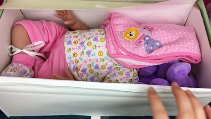 Baby Doll Swap with Aloha Baby Alive Paradise Galleries Sara Safari