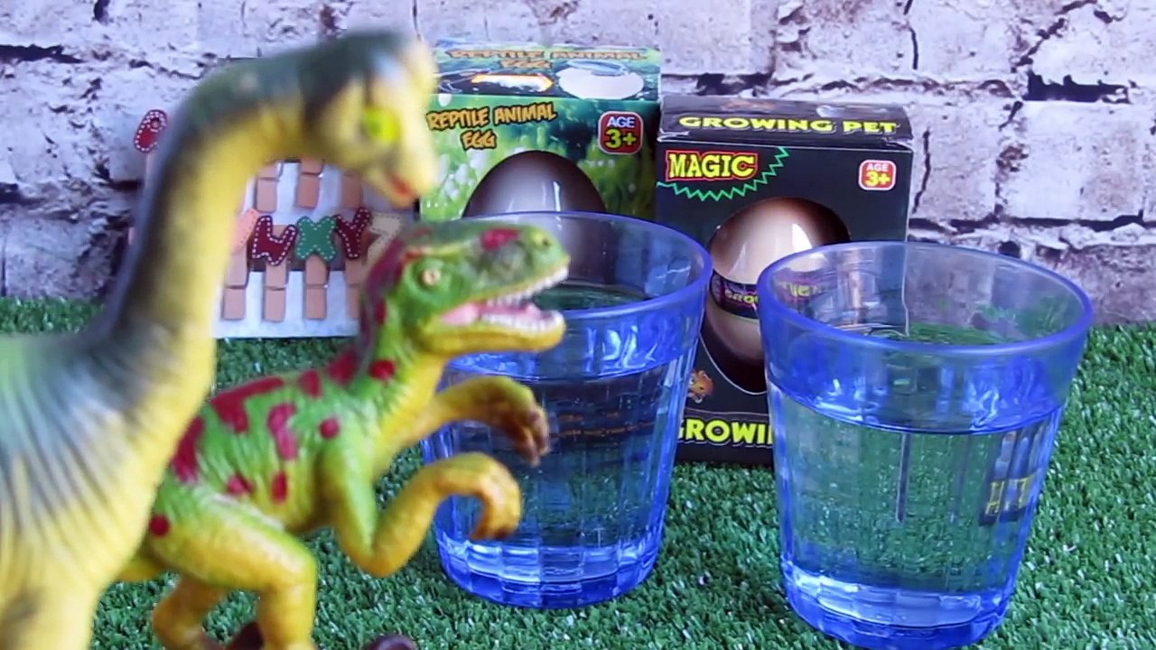 Experimento Huevos de reptil y dinosaurio en el congelador | Vídeos de dinosaurios para niños