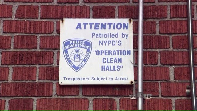 Five-Year-Old Found Home Alone in Filthy, Rat-Infested Apartment