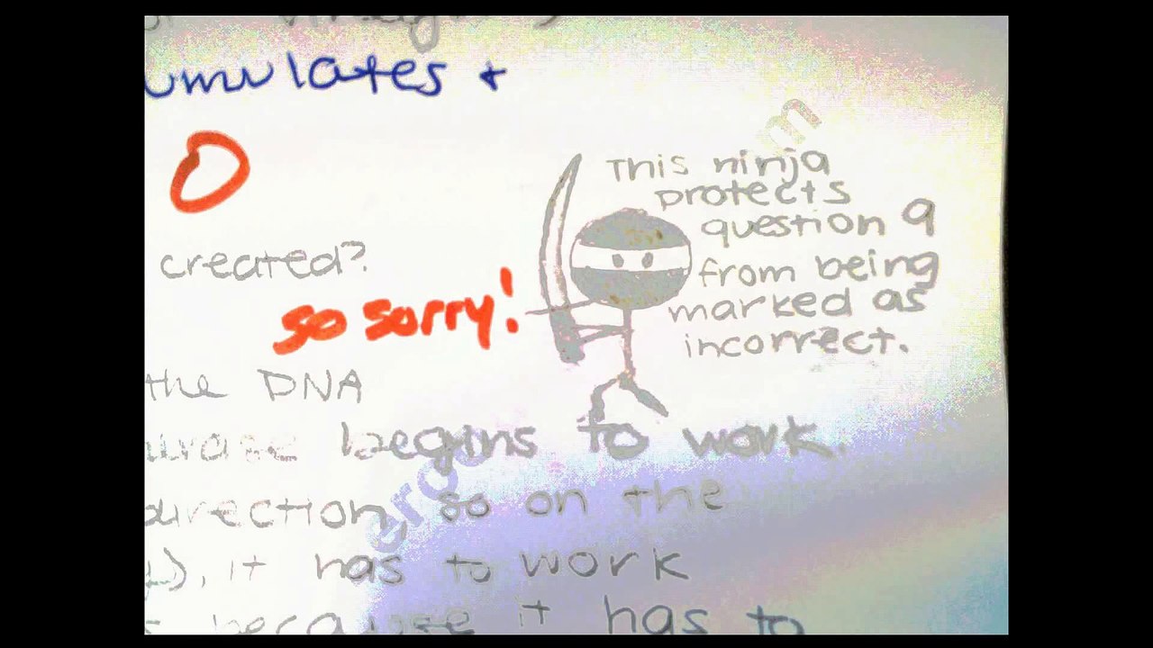 Funny Exam Answers # 4-The Joys of School!