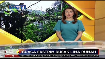 Hujan Deras dan Angin Kencang, Belasan Pohon dan Lampu Jalan Tumbang