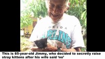 Grandpa’s Wife Said He Couldn’t Keep Stray Kittens, So He Raises Them Secretly