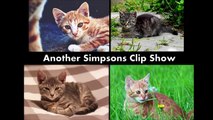 60 Second Kittens - Another Simpsons Clip Show