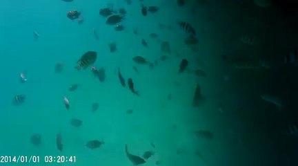 Tuyển Dụng Việc Làm Biên Hòa chia sẽ cảnh biển đại dương.