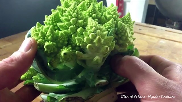 8 loại thực phẩm giúp ngăn ngừa lão hóa hiệu quả