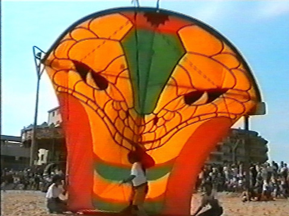 Vol du cobra