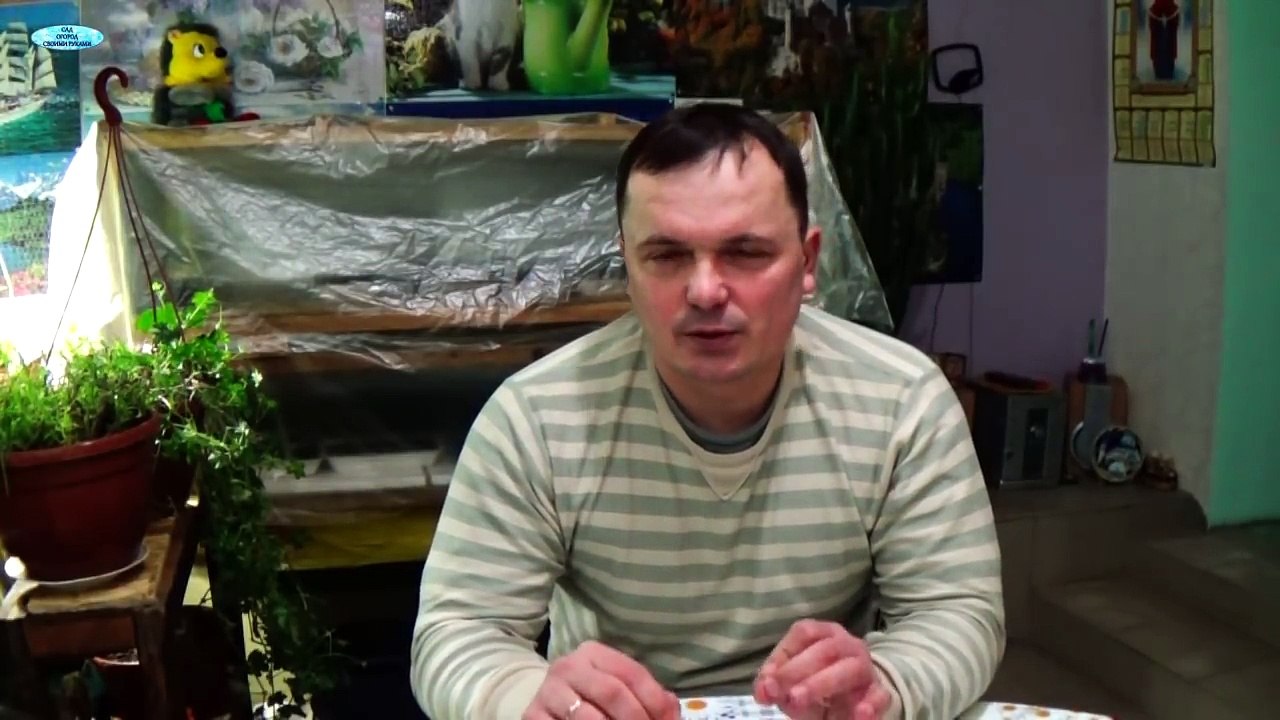 ПОЧЕМУ НЕ ВСХОДЯТ СЕМЕНА -10 ГЛАВНЫХ ПРИЧИН!