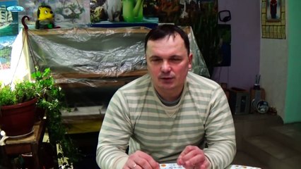 ПОЧЕМУ НЕ ВСХОДЯТ СЕМЕНА -10 ГЛАВНЫХ ПРИЧИН!