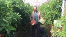 Antalyalı Çiftçiden Yükseklik Sorununa İlginç Çözüm