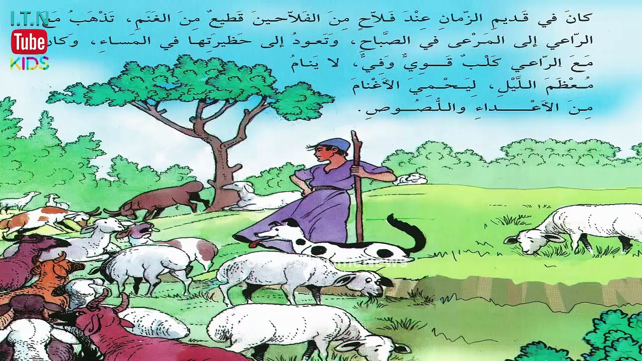 قصة الثعلب والذئب والخروف وشهادة الزور - قصص قبل النوم للأطفال