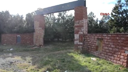 Tekirdağ Atatürk Ormanı, Çam Kese Böcekleri Tehdidi Altında