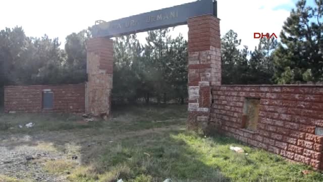 Tekirdağ Atatürk Ormanı, Çam Kese Böcekleri Tehdidi Altında