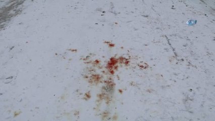 Bu Yıl 11'incisi Düzenlenen Kardan Adam Şenliği İkinci Gününde Renkli Görüntülere Sahne Oldu