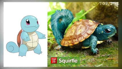 Pokemon In Real Life 2017 | Top 25s | All Characters
