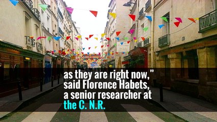 Floods Leave Paris Contemplating a Wetter Future