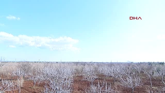 Kilis-Terör Örgütü Mevzileri Çok Namlulu Roketatar ve Toplarla Böyle Vuruluyor