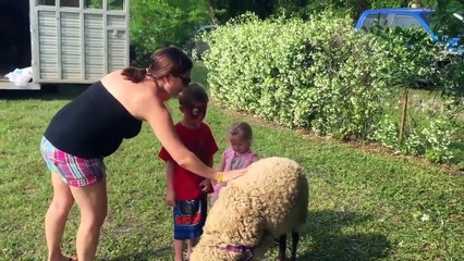 Try Not To Laugh Watching Funny Kids Fails Compilation November 2017 #2 - Co Vines✔